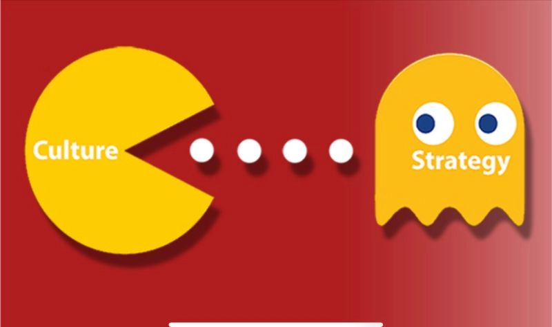 Stock image: team learning environment