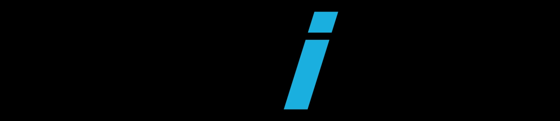 The CEO Institute